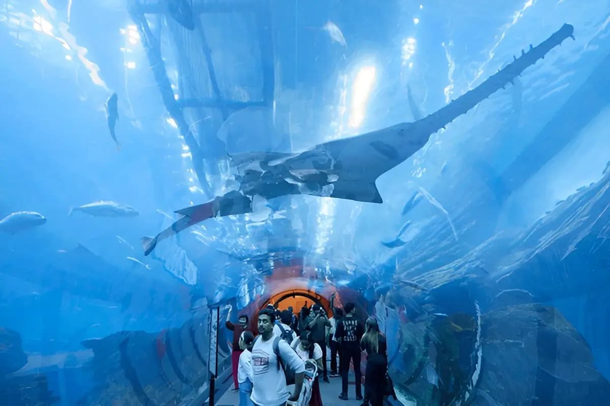 Aquarium Tunnel