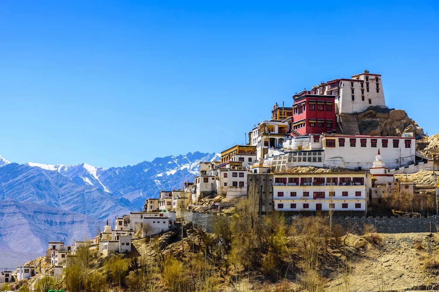 Ladakh Group Tour Package