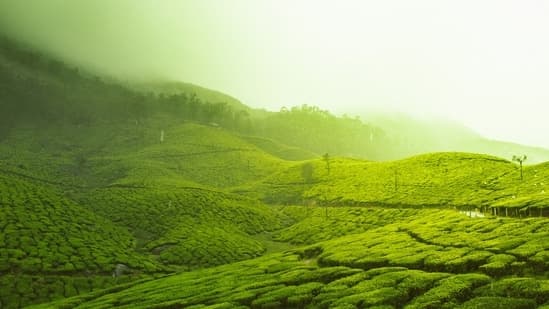 Top Getaways This Summer: From Ooty to Singapore