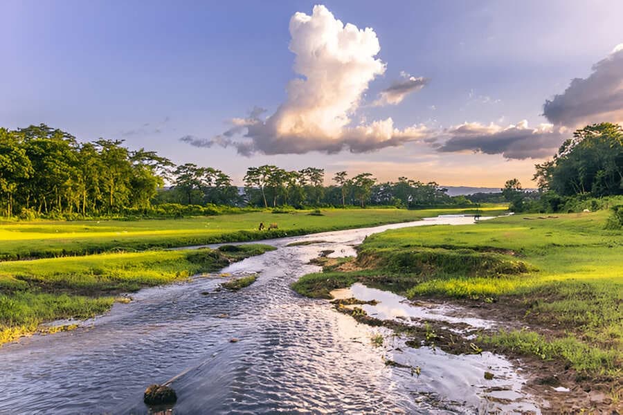 Chitwan National Park