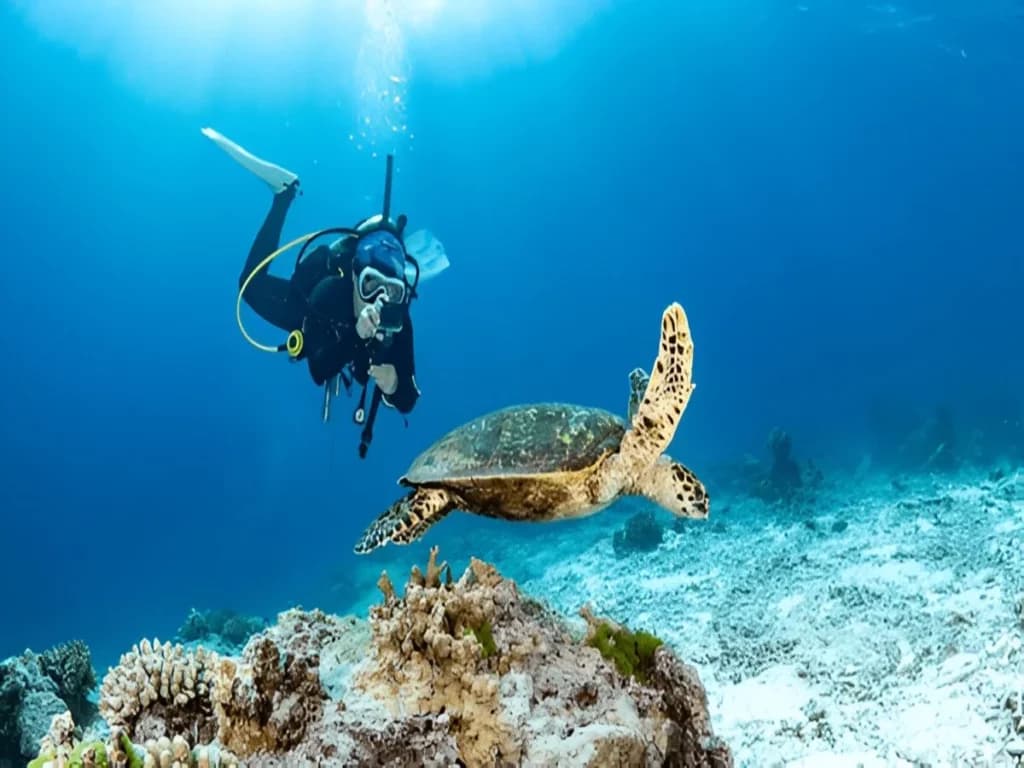 Scuba Diving in Lakshadweep